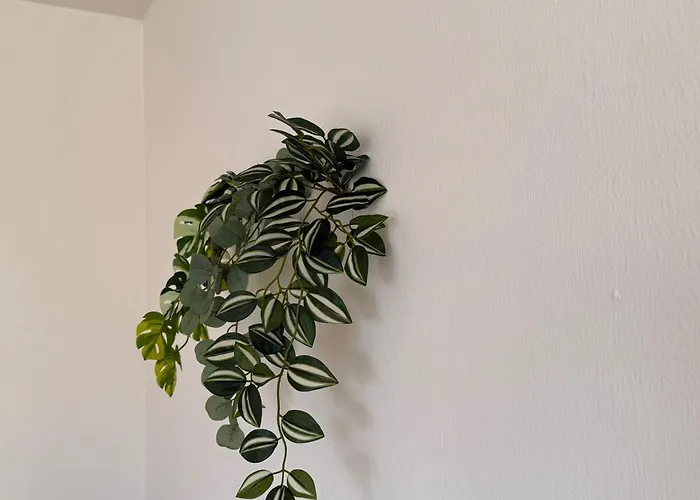 100 M2 Mit Balkon Und Parkplatz